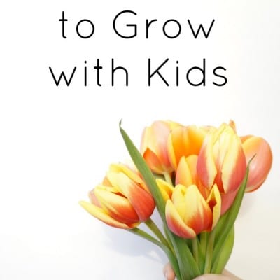 10 Flowers to Grow with Kids