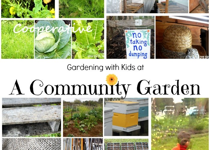 Learning and Growing in a Community Garden with kids