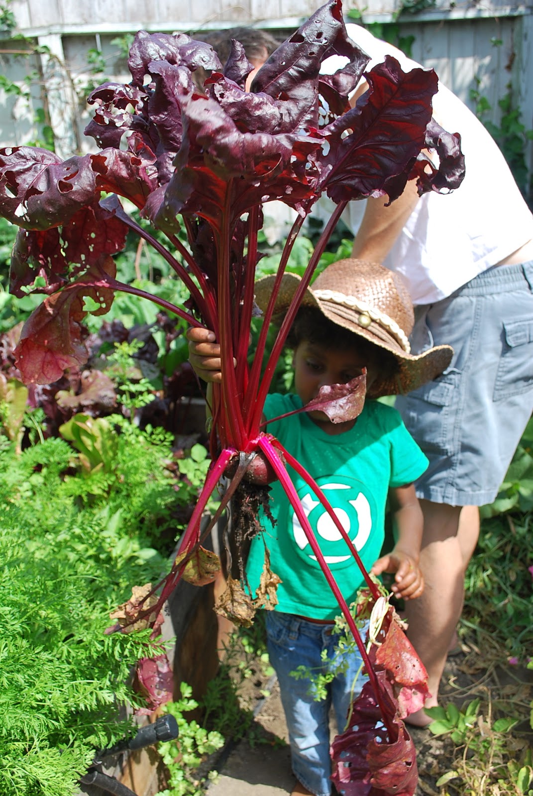 kids in the garden harvesting root vegetables