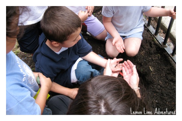 Exploring in a Preschool Garden