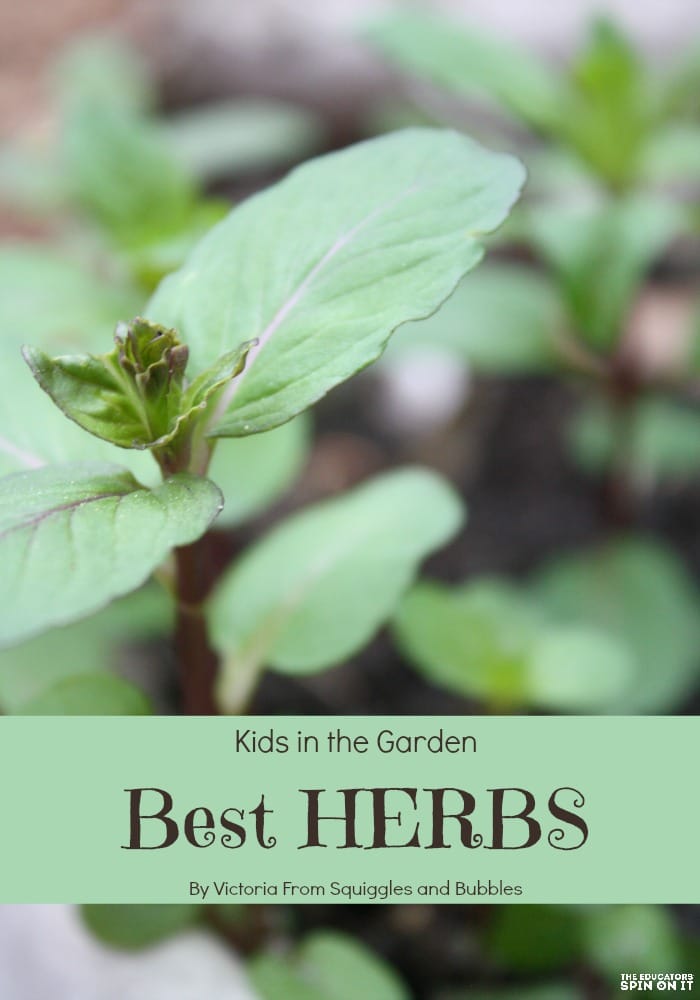 Best herds to grow in garden