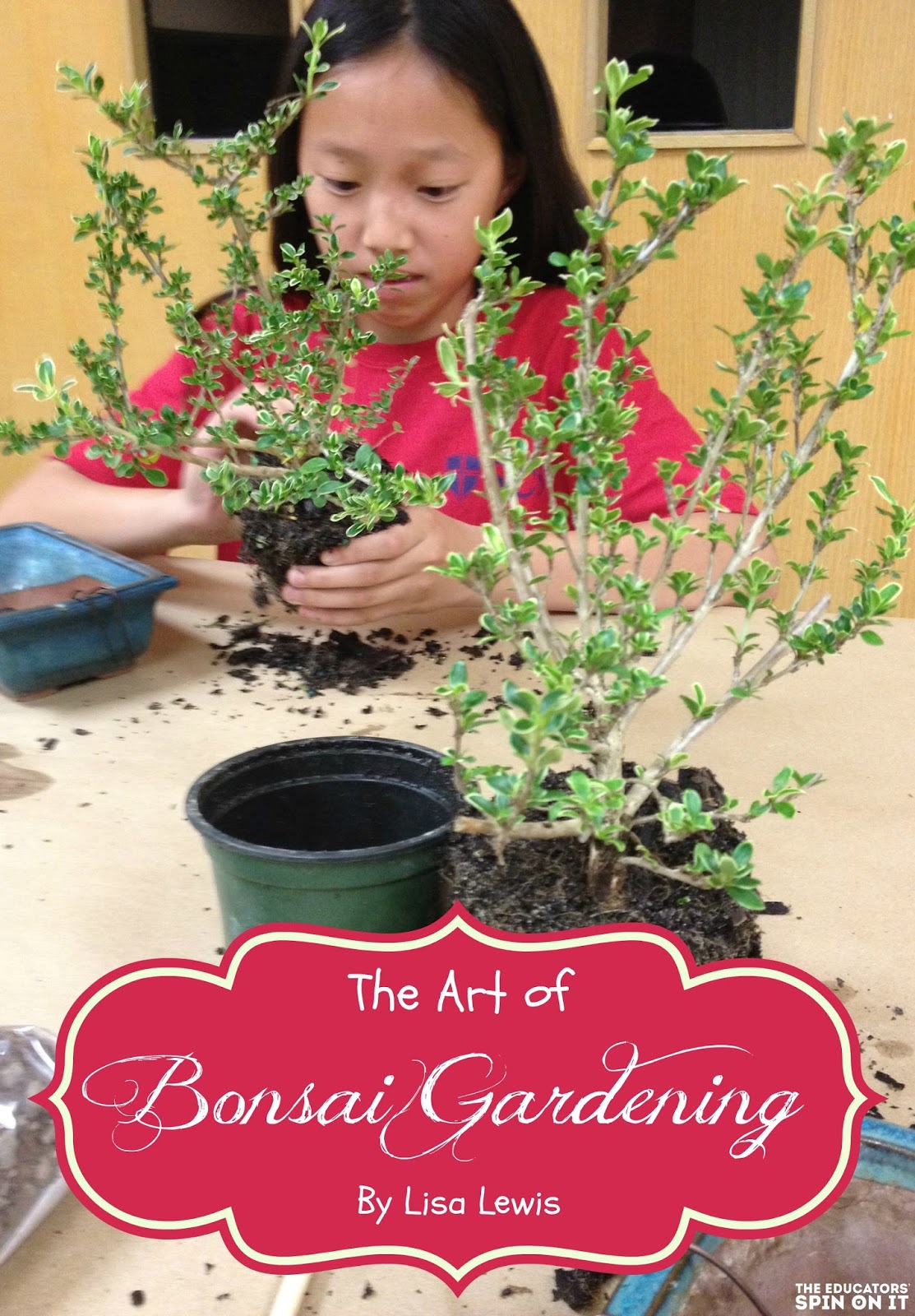 The Art and Science of Bonsai Gardening with Kids