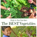 Vegetables harvested from a backyard garden with kids