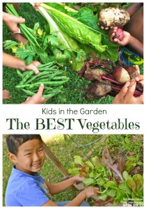 Vegetables harvested from a backyard garden with kids