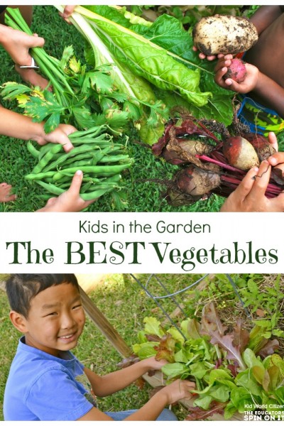 Vegetables harvested from a backyard garden with kids