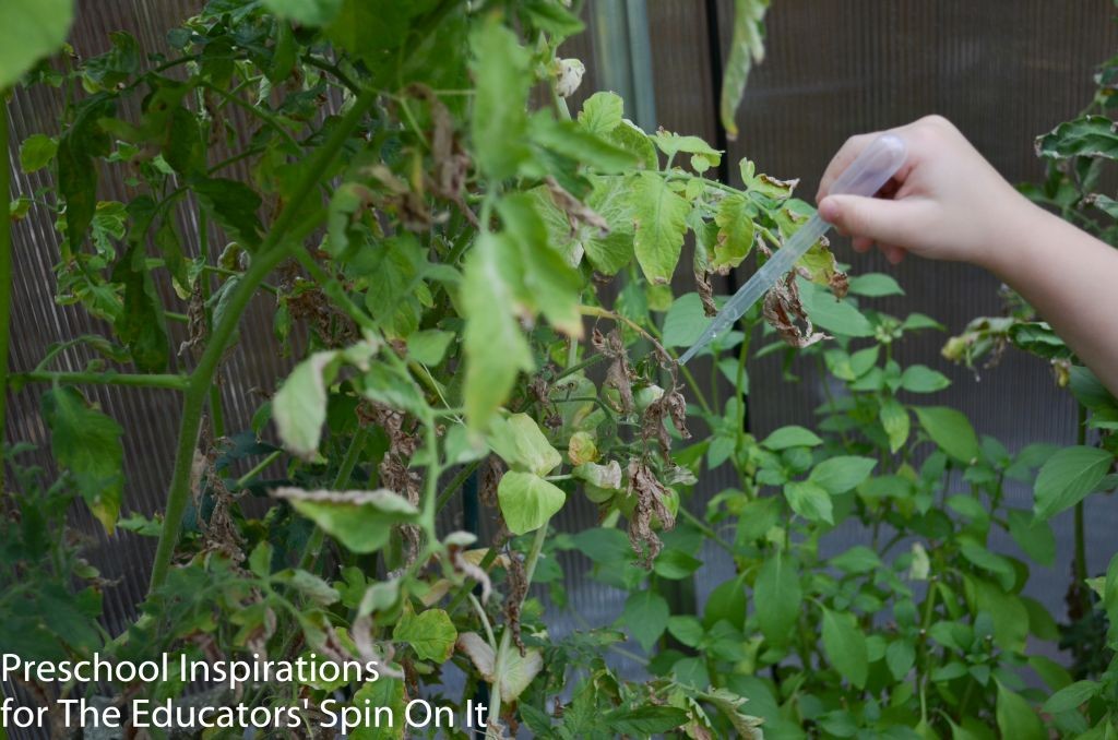 Watering the Garden with Kids 