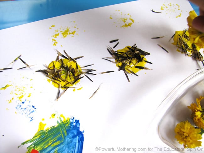 adding seeds to flower art