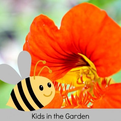 Garden Science: Learning about Bees in the Garden