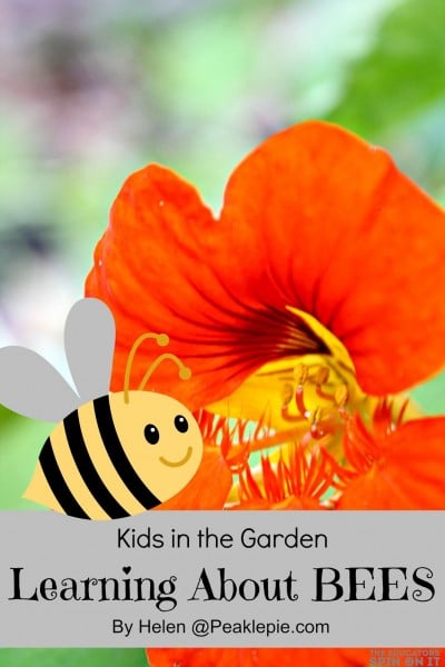 bees.jpg - The Educators' Spin On It bee science activities for preschool