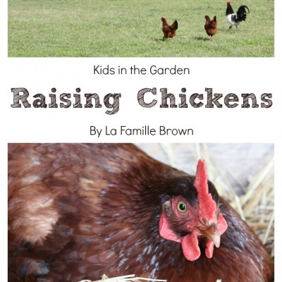 Raising Chickens: Homesteading with Kids