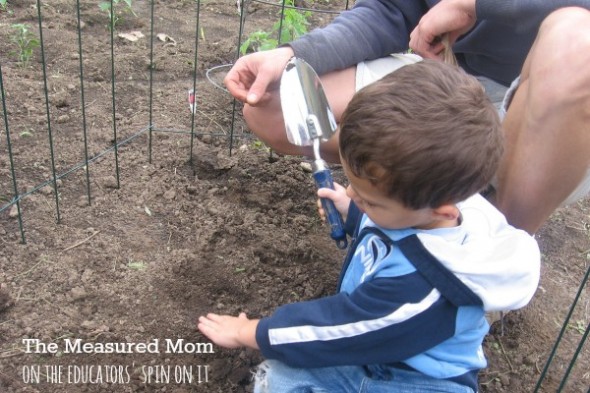 family garden (6) - the educators' spin on it