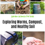 Exploring Worms, Compost and Healthy Soil with Kids- Garden Science for Kids