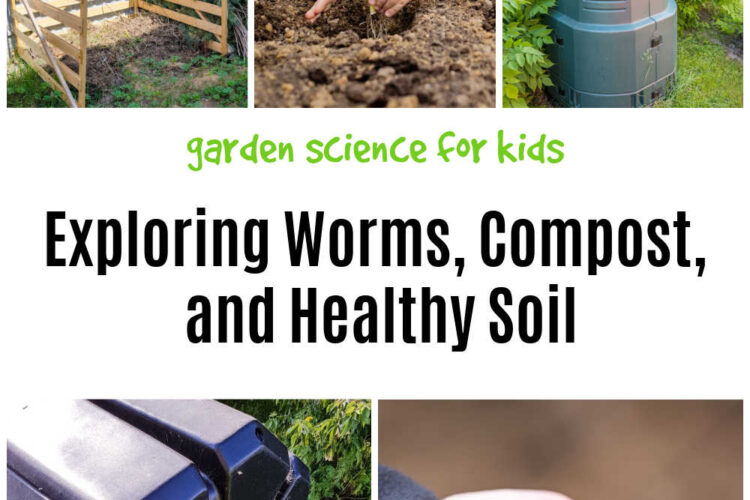 worms-and-compost-activities-for-kids - The Educators' Spin On It Exploring Worms, Compost and Healthy Soil with Kids- Garden Science for Kids