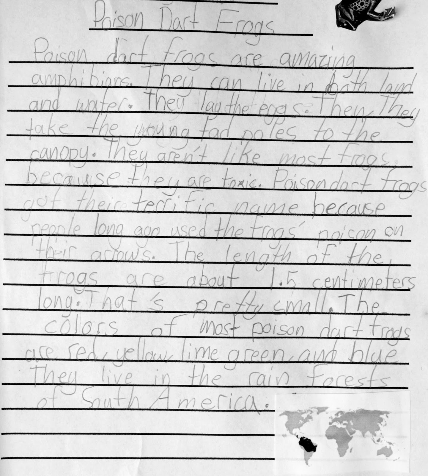 second grade essay samples