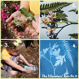 sun print paper project for kids with flowers and fern leaf