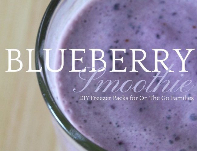 Ready to Blend Blueberry Smoothie Packs for the Freezer