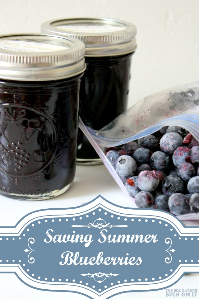 Saving summer with blueberry smoothie packs for the freezer