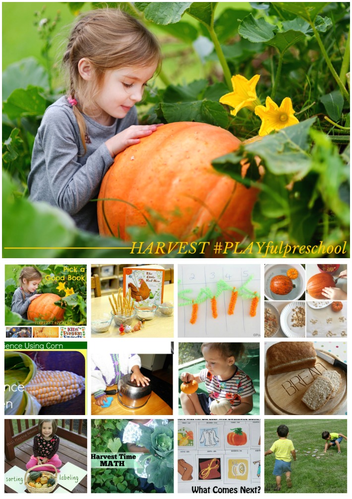 Preschool Activities for HARVEST: preschool math, reading, science, sensory and more!