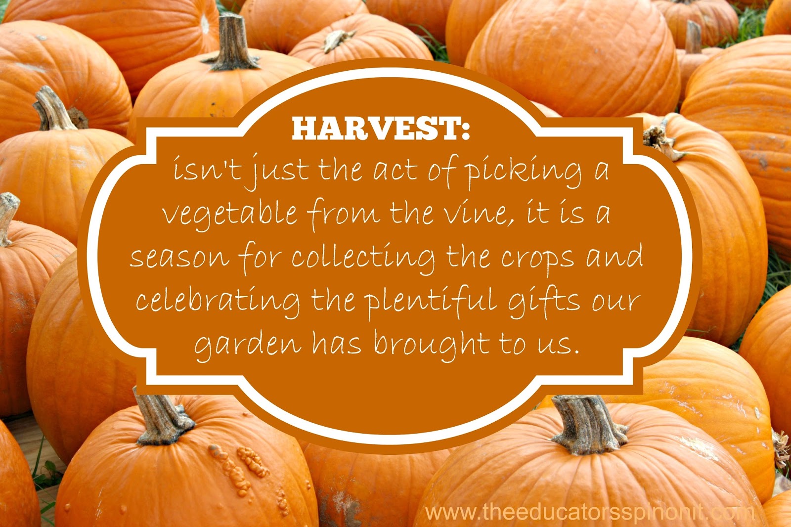 workers in teh harvest meaning