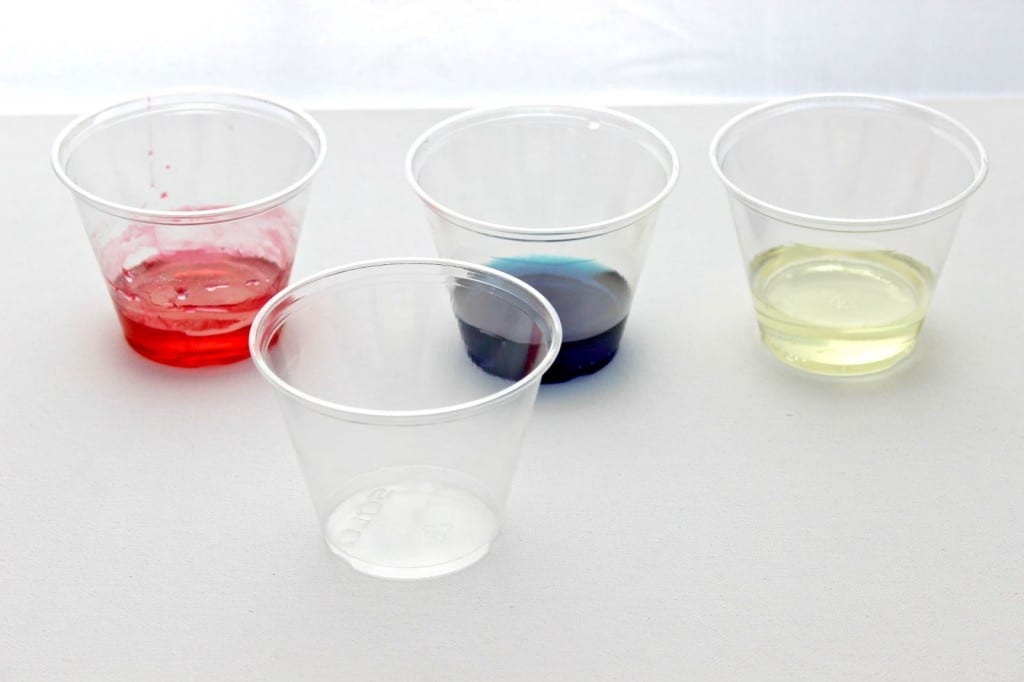 Density Science Experiment for Kids