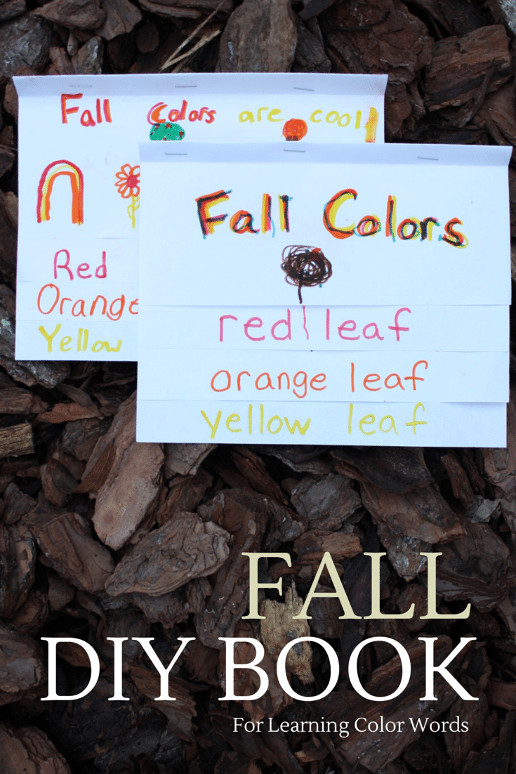Make a FALL Color Word Book for preschool and grade school learning: sight words, color words, science, fall, deciduous trees, adjictives