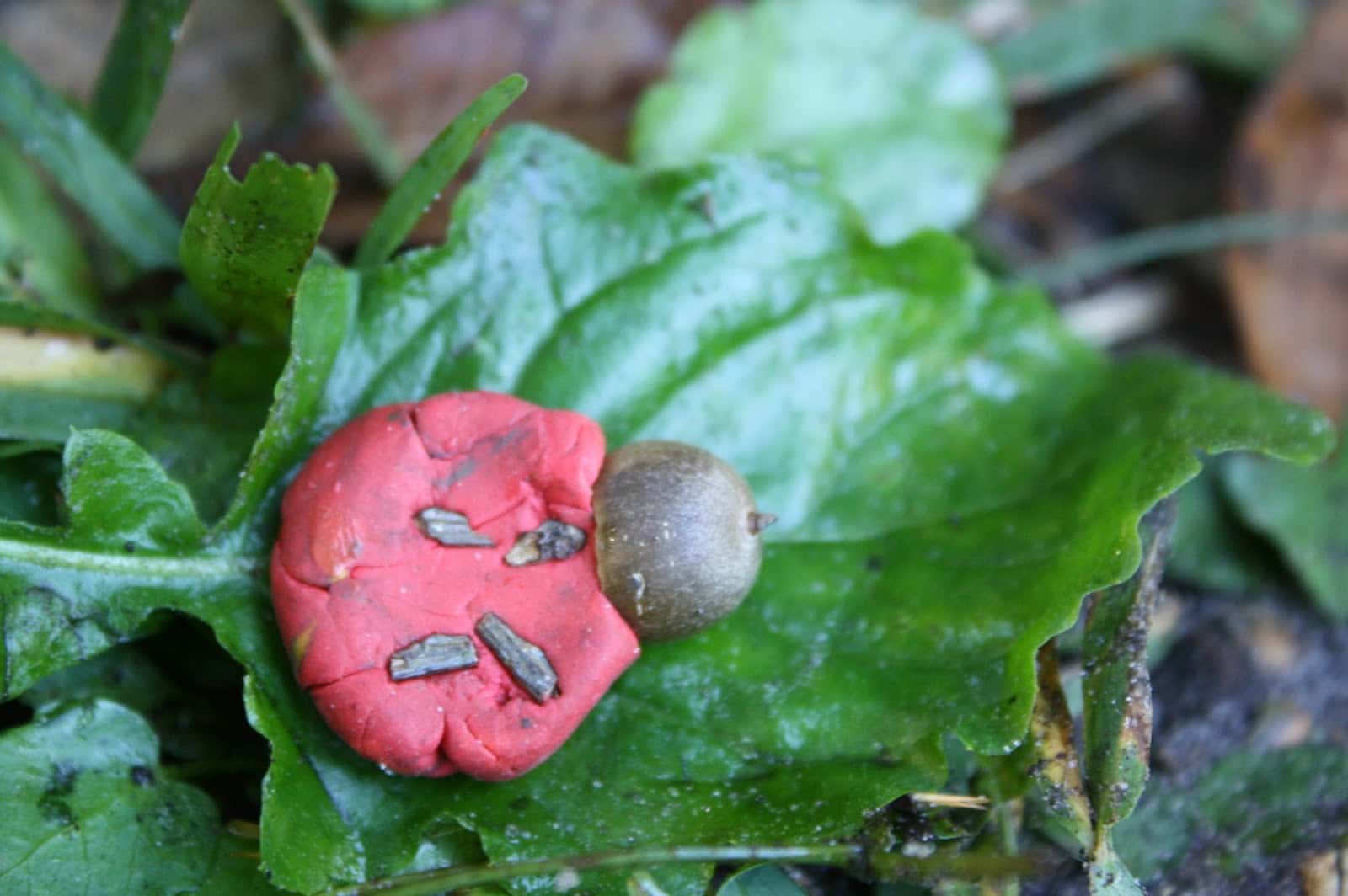 Kid-made clay ladybug for fall bug habitat