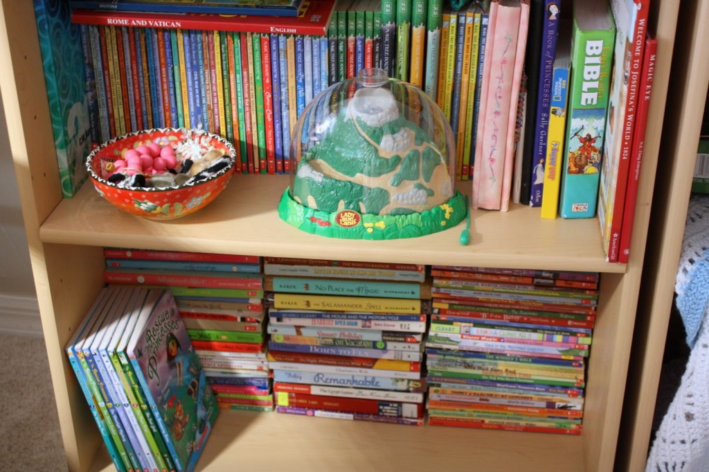 Use bookshelves for storage in reading spaces