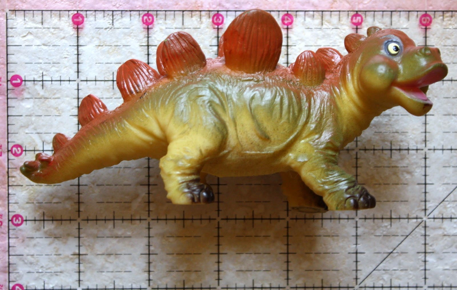Dinosaur measurement activities