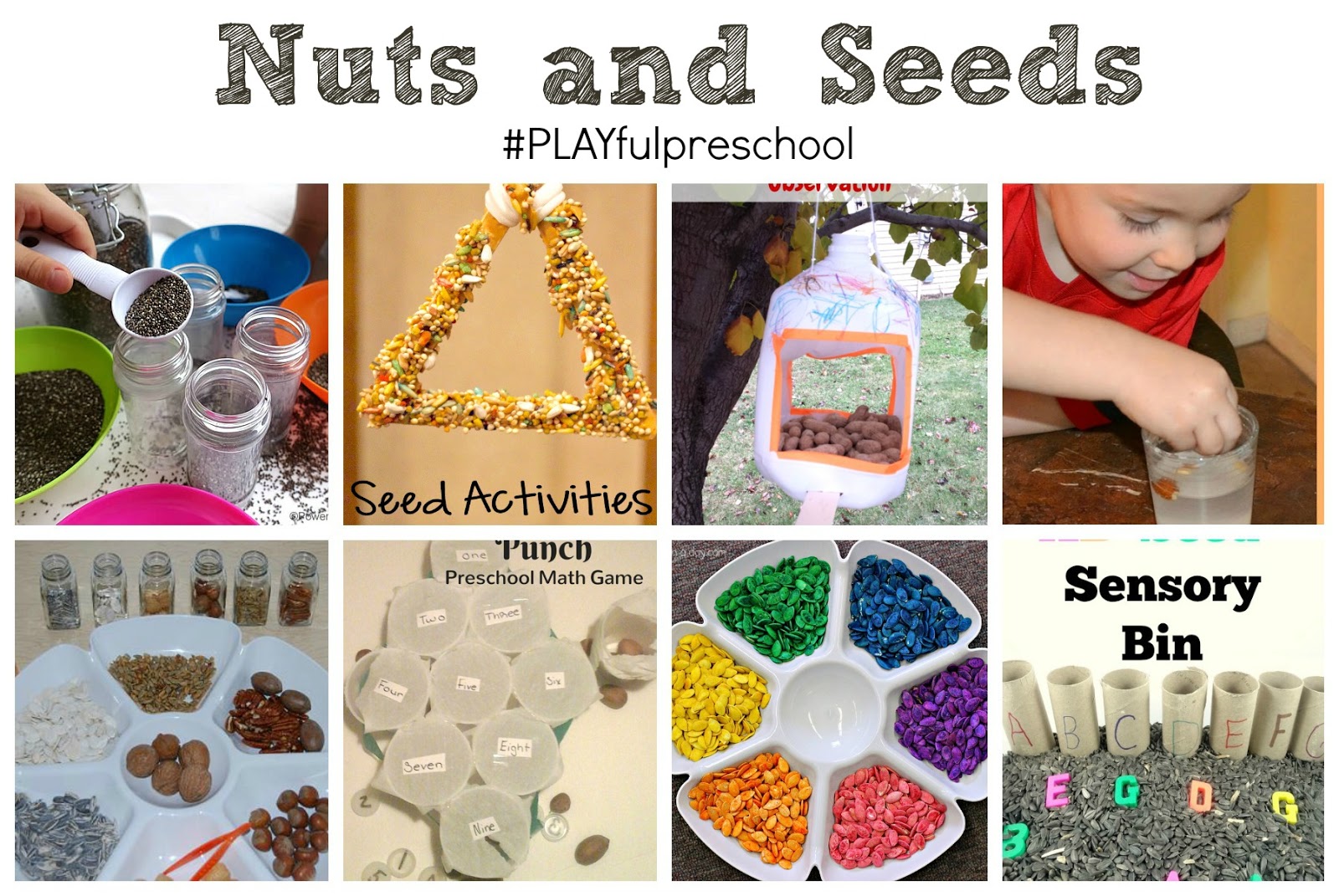 Learn with nuts and seeds: science, math, literacy and more!