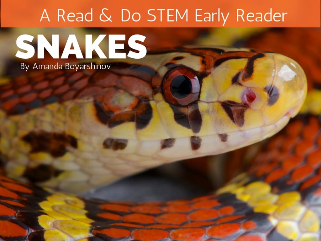 snake%2Bcover.jpg - The Educators' Spin On It