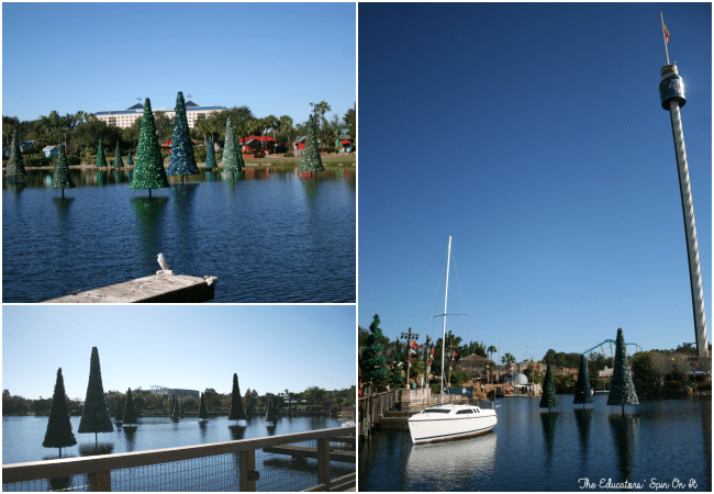 Sea of Trees at SeaWorld's Christmas Celebration with a family a 4. A must-do experience for the holiday season!