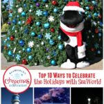 Top 10 Ways to Celebrate the Holidays with SeaWorld from The Educators' Spin On It