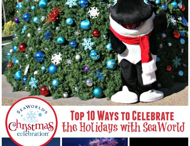 Top 10 Ways to Celebrate the Holidays with SeaWorld from The Educators' Spin On It