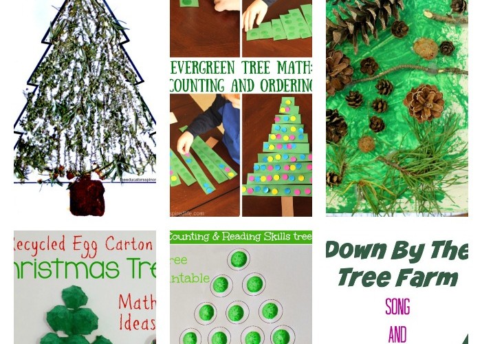 Evergreen Tree Activities for Preschoolers