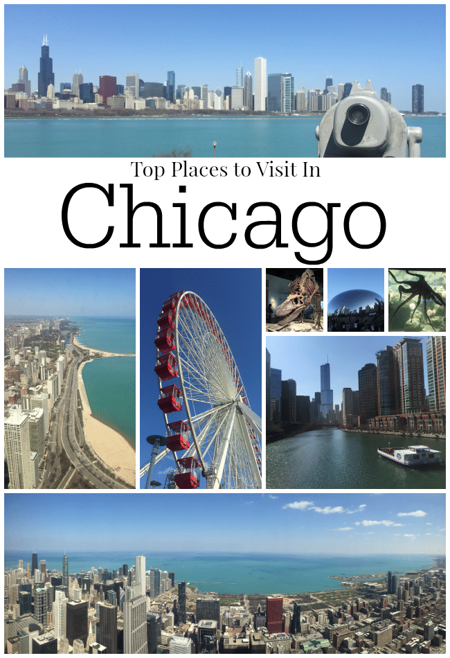 Top Places To Visit In Chicago - The Educators' Spin On It