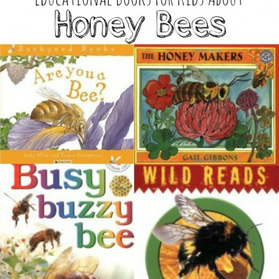 Honey Bee Books for Kids