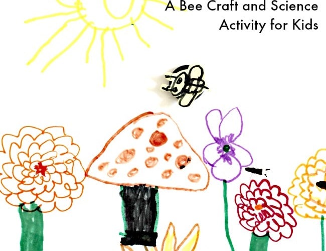 magnetic bee craft