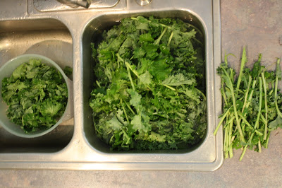 How to wash Kale from the garden 