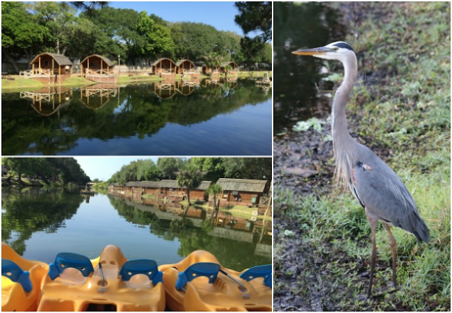 Water Area in St Augustine Florida KOA