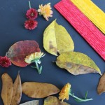 Fall STEm Challenge for kids with leaves