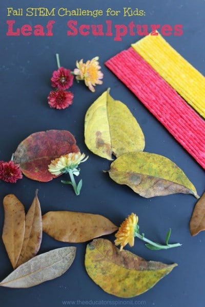 Fall STEm Challenge for kids with leaves