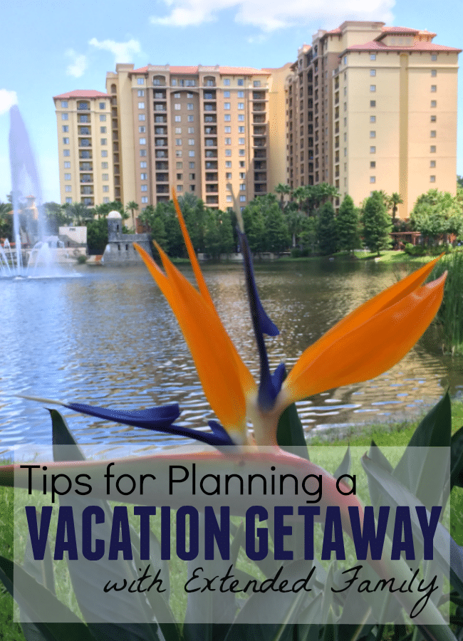 Tips for Planning a Vacation Getaway with Extended Family in Florida