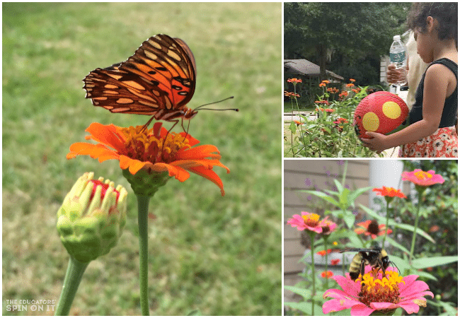 Exploring Nature with Kids 