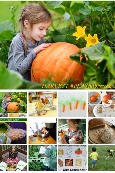 Harvest Activities for Preschool