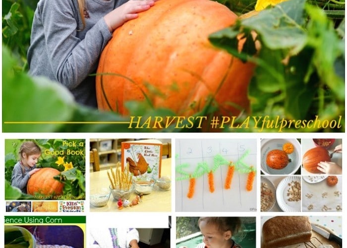 Harvest Activities for Preschool