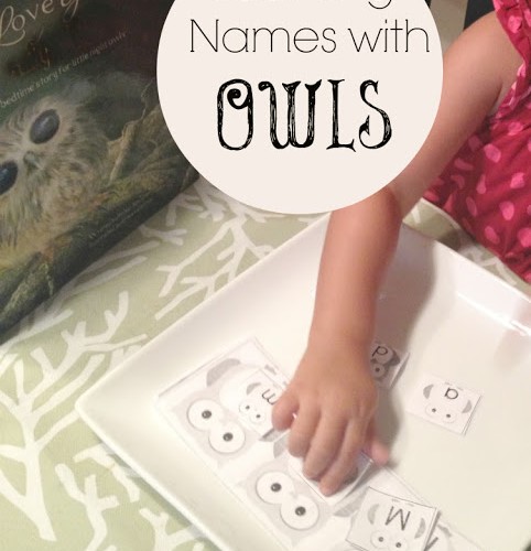 Learning Names with Owls