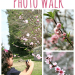 child with camera taking Spring Photos of flowers in trees