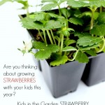 Strawberry STEM Challenge, learning science, technology, engineering, and math in the garden with kids. BUDGET FRIENDLY STEM Activity