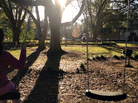 outdoor tree swing