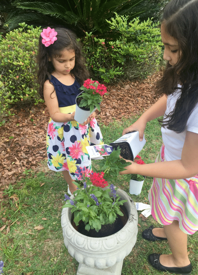 Creating Flower Pots for Butterfly Garden